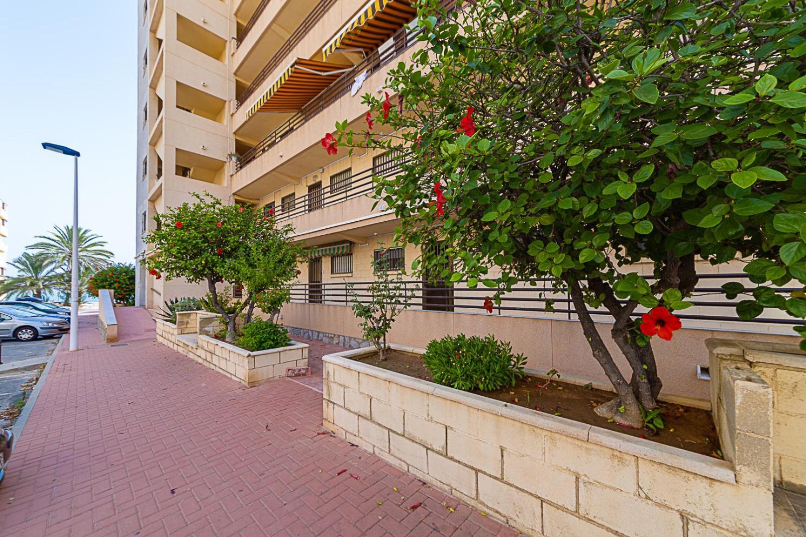 Апартаменты Miramar Magic Sea & Sunrise View Торевьиа Экстерьер фото